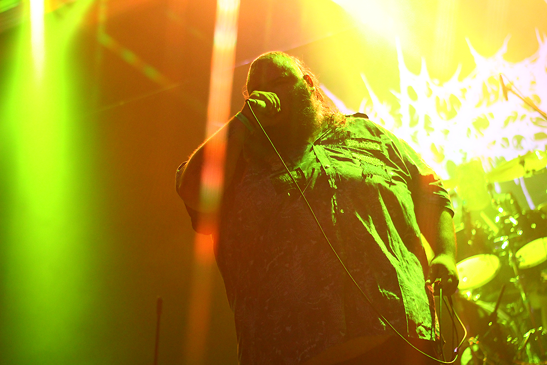 Gutalax: Cacofonía de Grind, Papel Higiénico y Descontrol